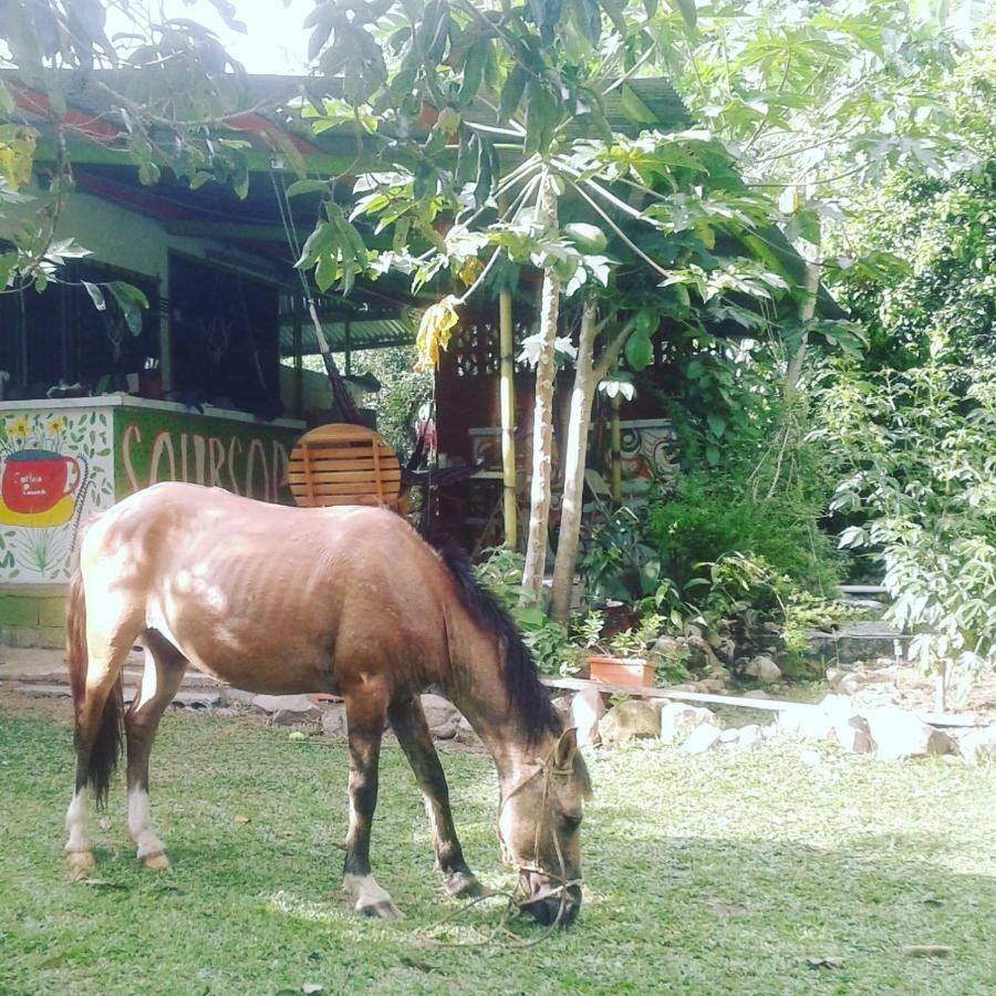 Soursop Hostel Cueta Esterno foto